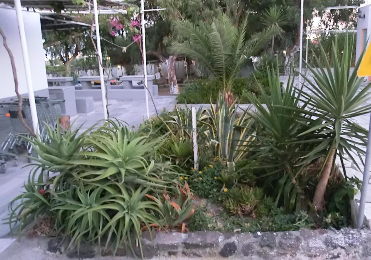 Santorini Camping & Hostel Firá Buitenkant foto