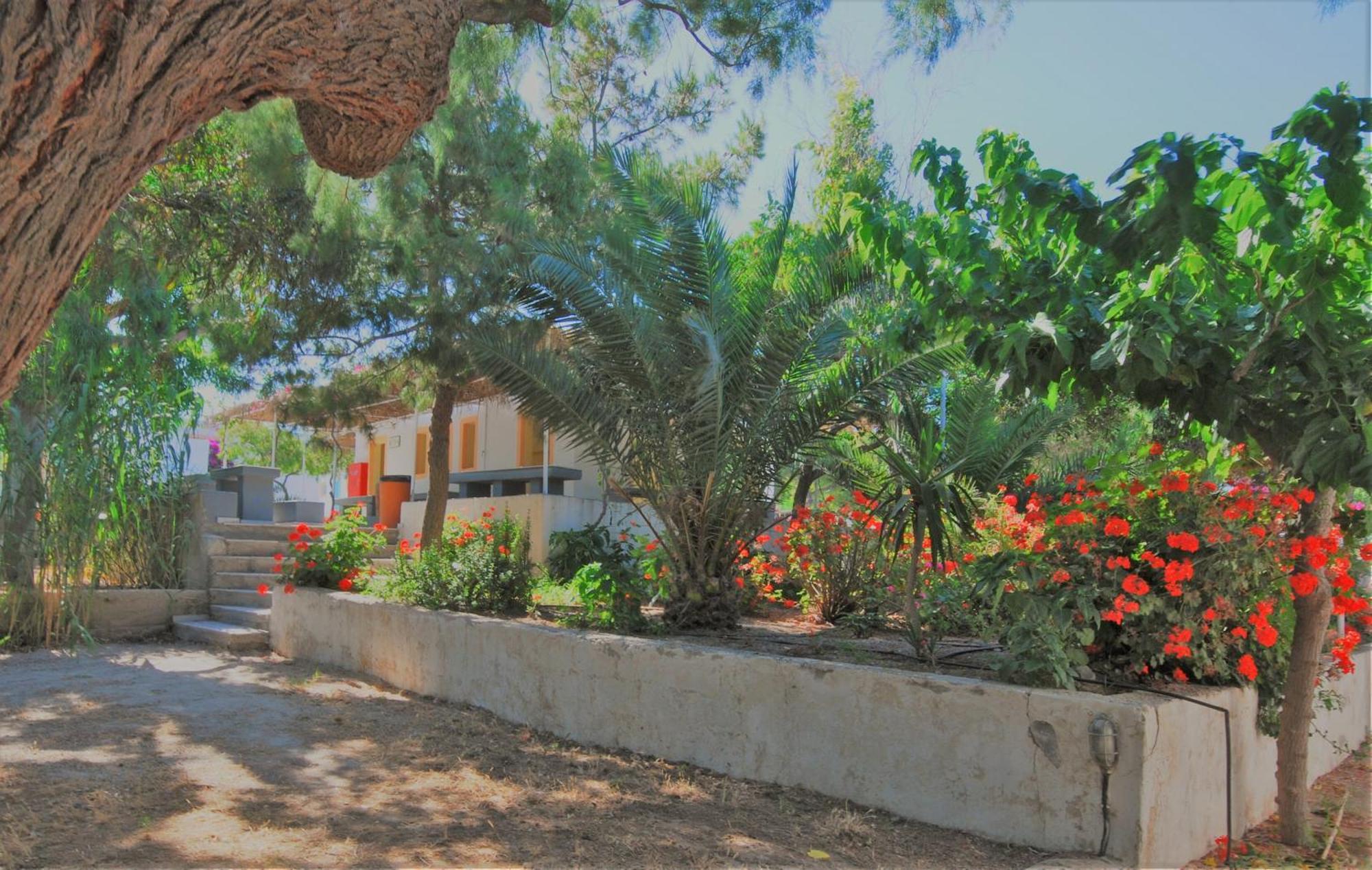Santorini Camping & Hostel Firá Buitenkant foto