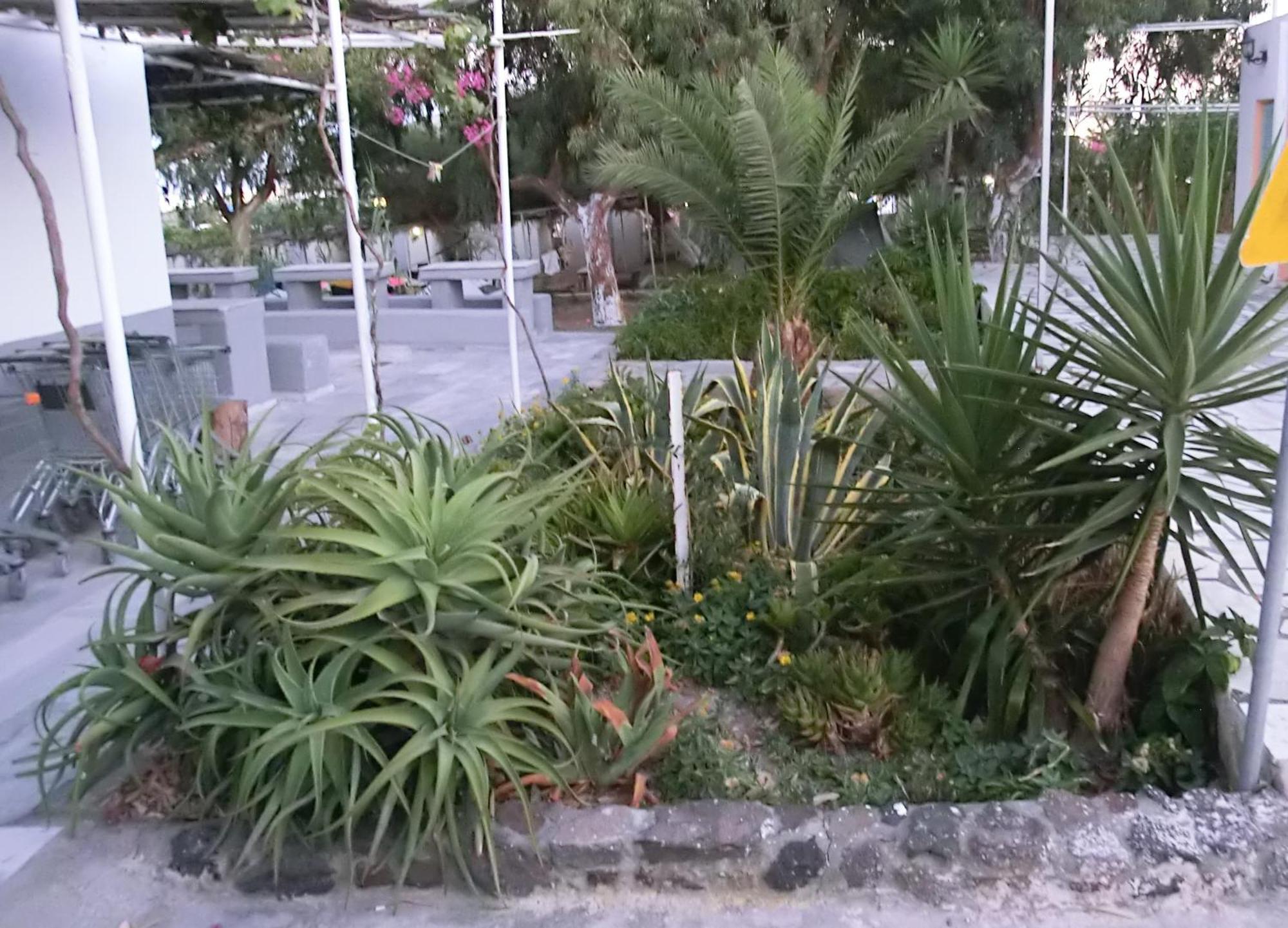 Santorini Camping & Hostel Firá Buitenkant foto